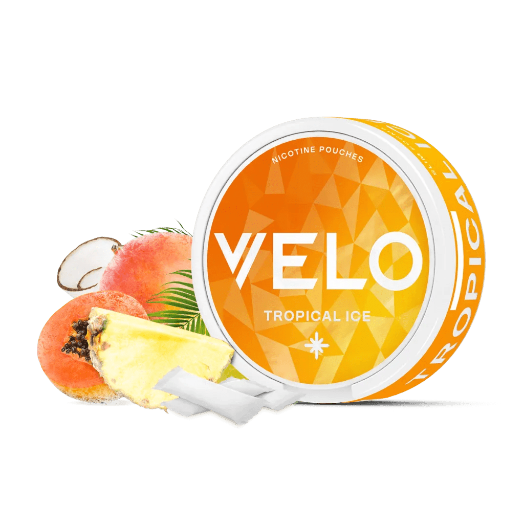 bulk wholesale VELO Nicotine Pouches Pack of 10 - Tropical Ice