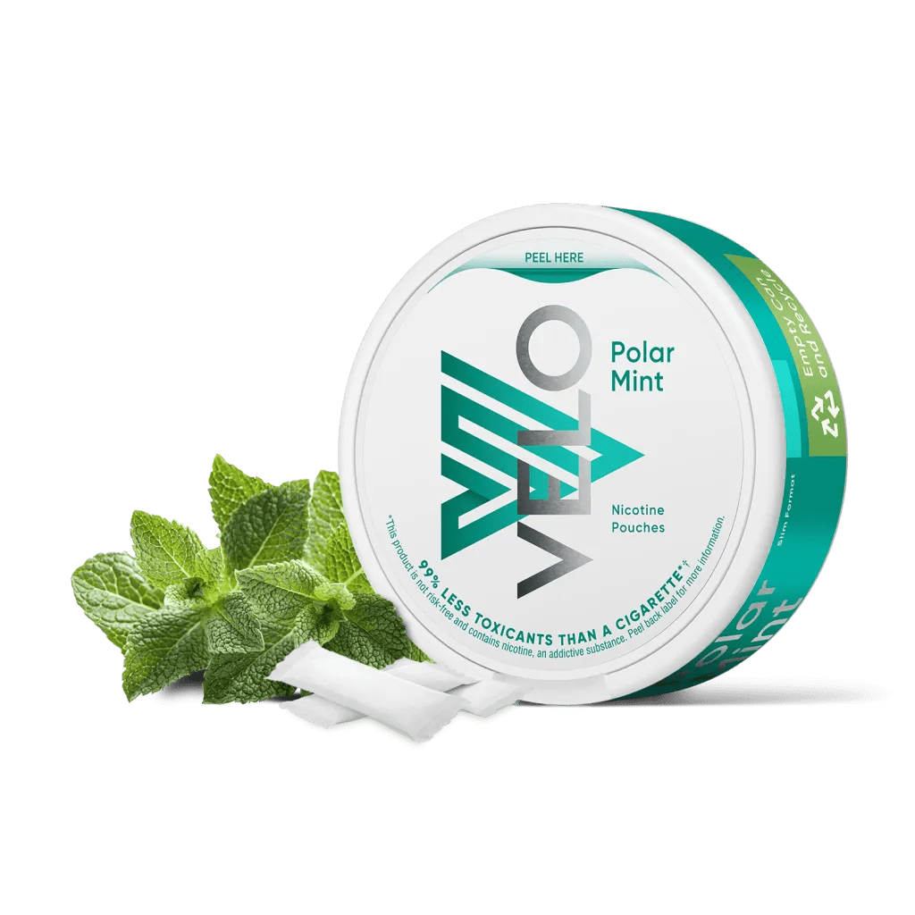 bulk wholesale VELO Nicotine Pouches Pack of 10 - Polar Mint