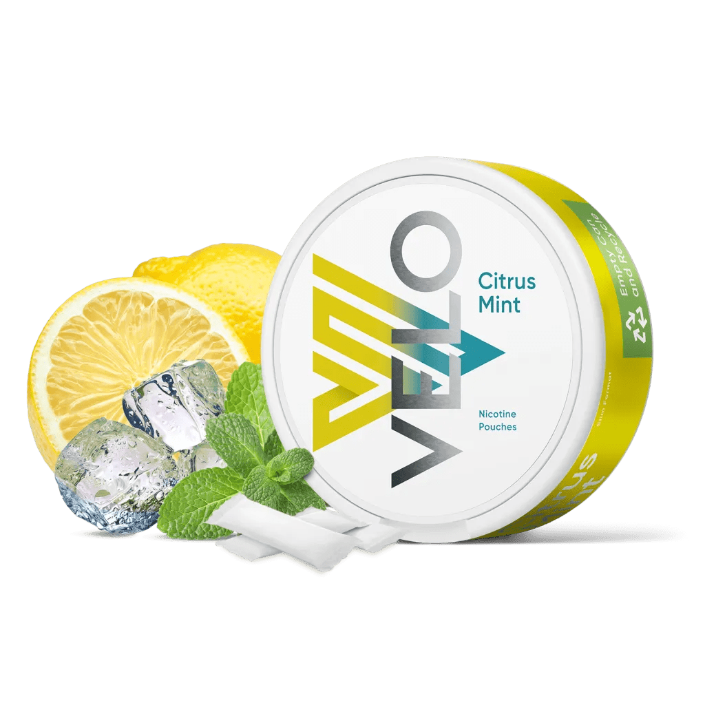 bulk wholesale VELO Nicotine Pouches Pack of 10 - Citrus Mint