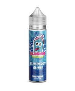 bulk wholesale SLUSHIE - BLUEBERRY SLUSH - 50ML -