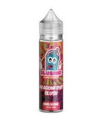 bulk wholesale SLUSHIE - DRAGON FRUIT SLUSH - 50ML -