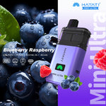 bulk wholesale Hayati Mini Ultra 1500 Prefilled Pod Vape Kit Box of 5 - Blueberry Raspberry