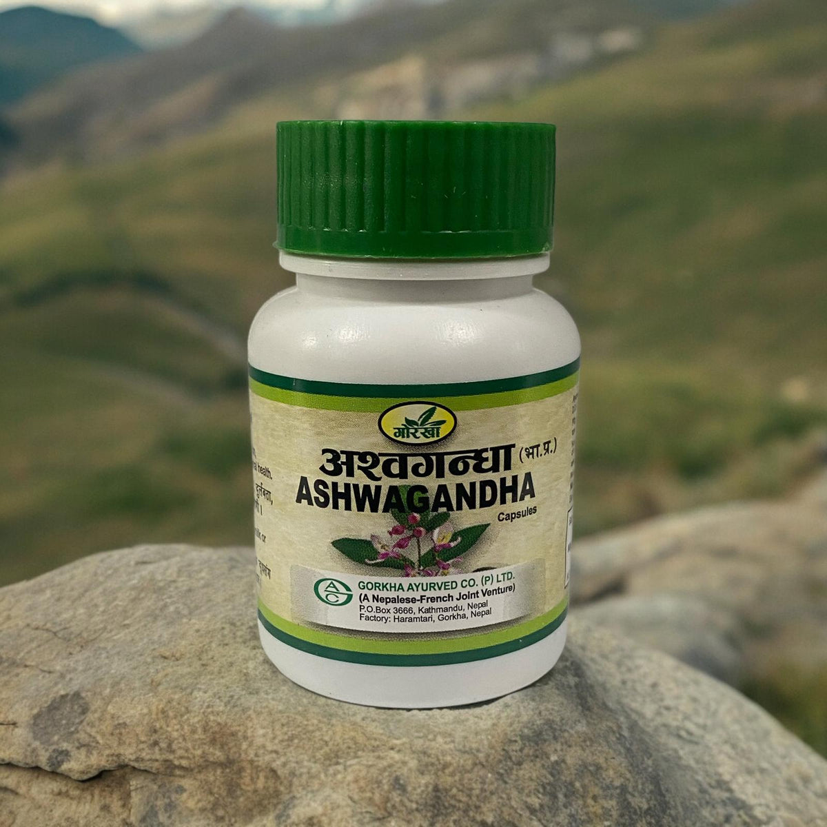 Gorkha Ashwagandha Capsules - 60pcs - Mcr Vape Distro