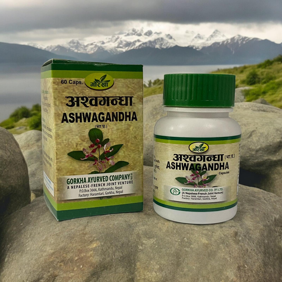 Gorkha Ashwagandha Capsules - 60pcs - Mcr Vape Distro