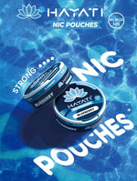 bulk wholesale Hayati Nicotine Pouches Pack of 10 - Blueberry