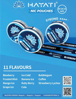 bulk wholesale Hayati Nicotine Pouches Pack of 10 - Blueberry