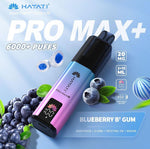 Hayati Pro Max+ 6000 Puffs Vape Kit Box of 5