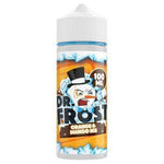 bulk wholesale DR FROST - ORANGE MANGO ICE - 100ML - 