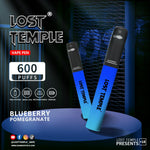 bulk wholesale Lost Temple 600 Puffs Disposable Vape Device Kit Box of 10 - Cola Ice